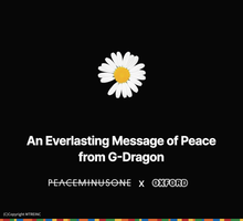 將圖片載入圖庫檢視器 PEACEMINUSONE 聯名限量積木系列「GD 818 BLOOM」