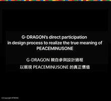 將圖片載入圖庫檢視器 PEACEMINUSONE 聯名限量積木系列「GD 818 BLOOM」