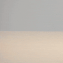 將圖片載入圖庫檢視器 MUZIK TIGER 拉繩滑行絨毛娃娃 3種