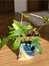 將圖片載入圖庫檢視器 PHOTOZENIAGOODS 濟州牛島海洋風景束口袋