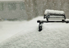 將圖片載入圖庫檢視器 downloadable_thule_10.png