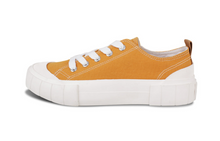 將圖片載入圖庫檢視器 1.PNG