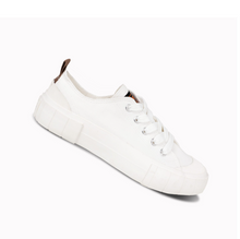 將圖片載入圖庫檢視器 sw.PNG