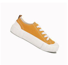 將圖片載入圖庫檢視器 m.PNG