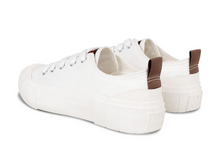 將圖片載入圖庫檢視器 2.PNG