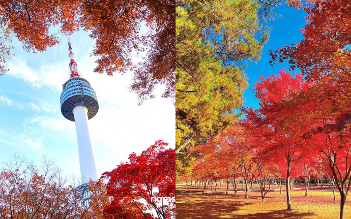秋意來襲！韓國首爾「賞楓景點」推薦，黃金美景盡收眼底！