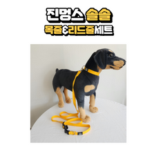 將圖片載入圖庫檢視器 [TOHYANGBIOBALL] Jinmungs Solsol Pet Collar &amp; Leash
