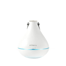 將圖片載入圖庫檢視器 AIRBERRY 智慧型衣物殺菌除濕機
