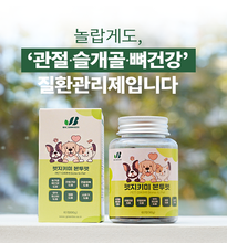 將圖片載入圖庫檢視器 [J GREENBIO] PET GiKiMi Bone to Pet / Bone to Pet Up
