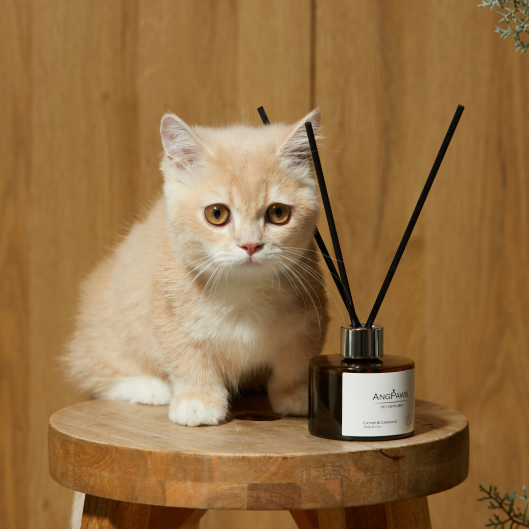 [LUS] ANGPAWS Pet Diffuser