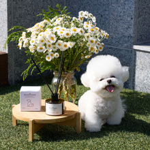 將圖片載入圖庫檢視器 [LUS] ANGPAWS Pet Diffuser
