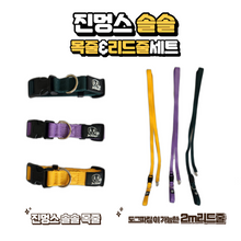 將圖片載入圖庫檢視器 [TOHYANGBIOBALL] Jinmungs Solsol Pet Collar &amp; Leash
